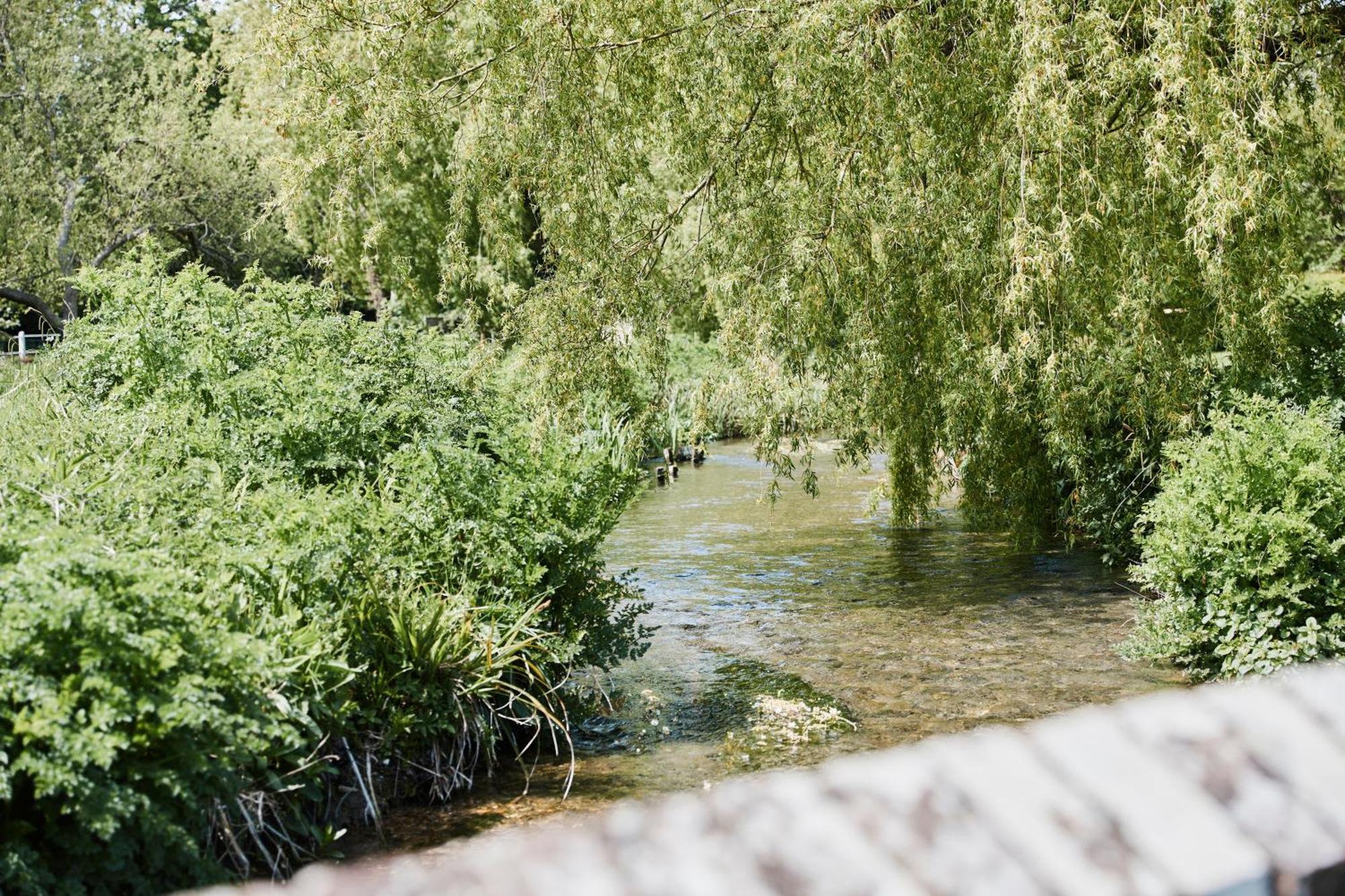 The Bucks Head Bed & Breakfast Carhampton ภายนอก รูปภาพ